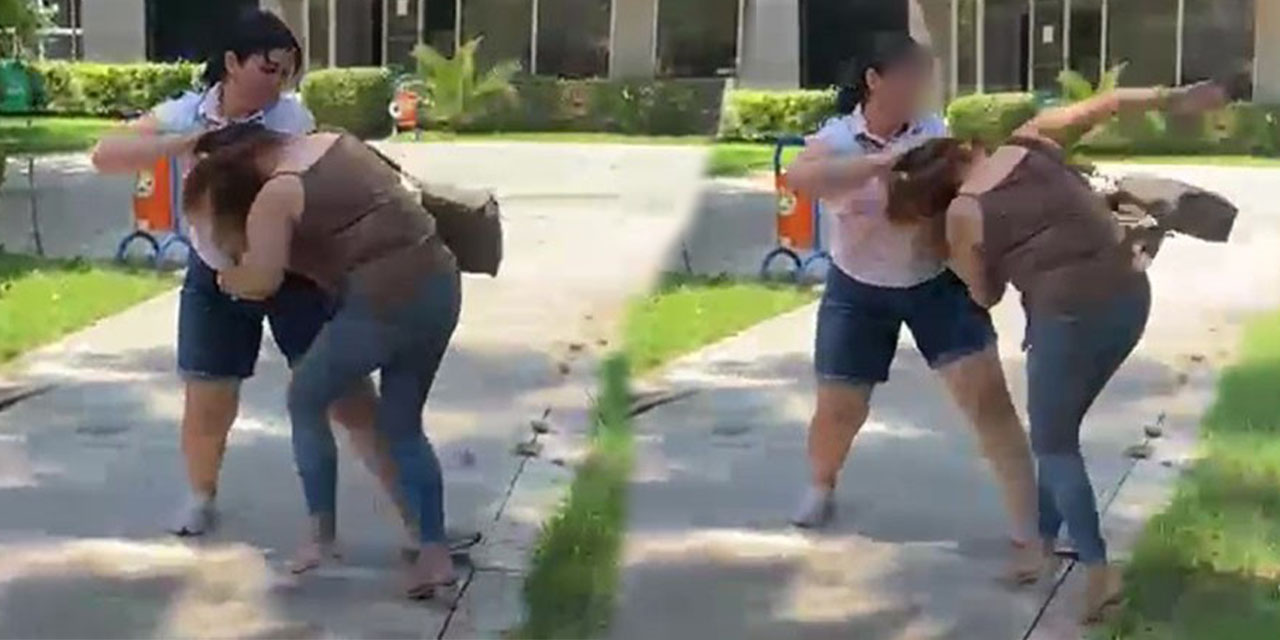 Dedektif gibi iz sürdü, parkta bastı: Aldatıldığını öğrenen kadından olaylı hesaplaşma