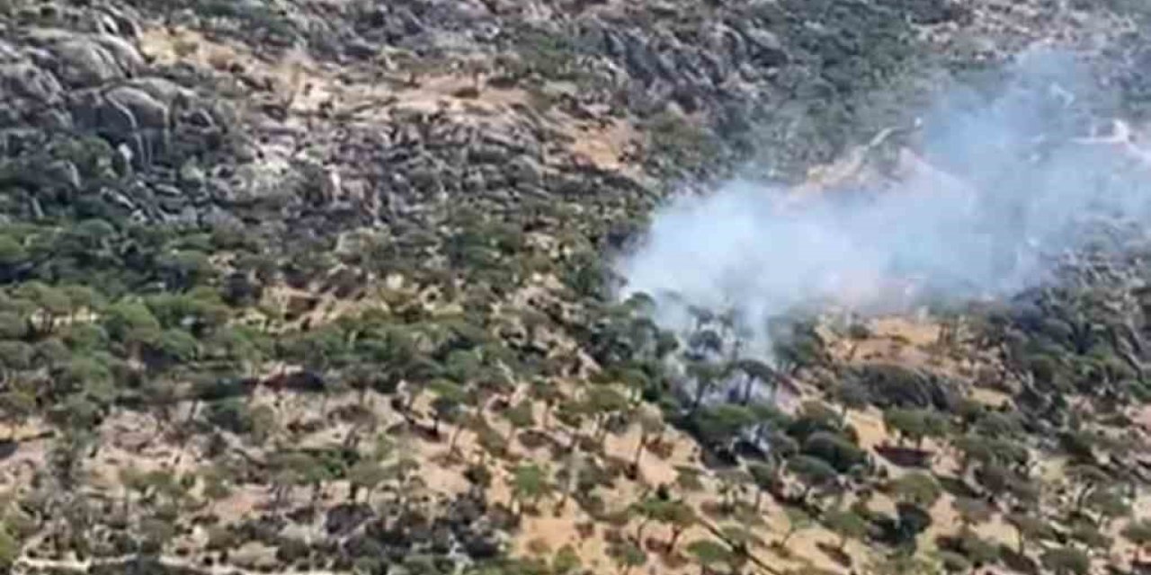 Söke’nin Latmos Dağları Değirmen Boğazı’nda yangın alarmı