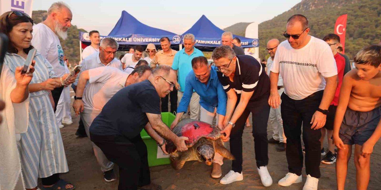 ‘Tuba’ya ikinci kez uydu takip cihazı takıldı