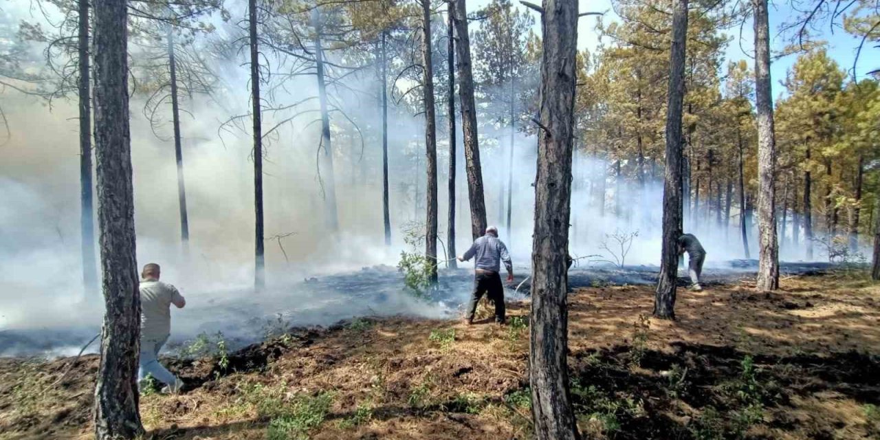 Honaz’da orman yangını