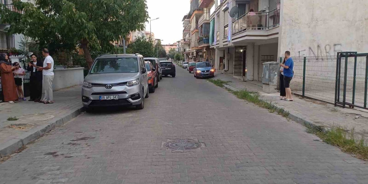 Balıkesir’deki deprem Aydın’da da hissedildi