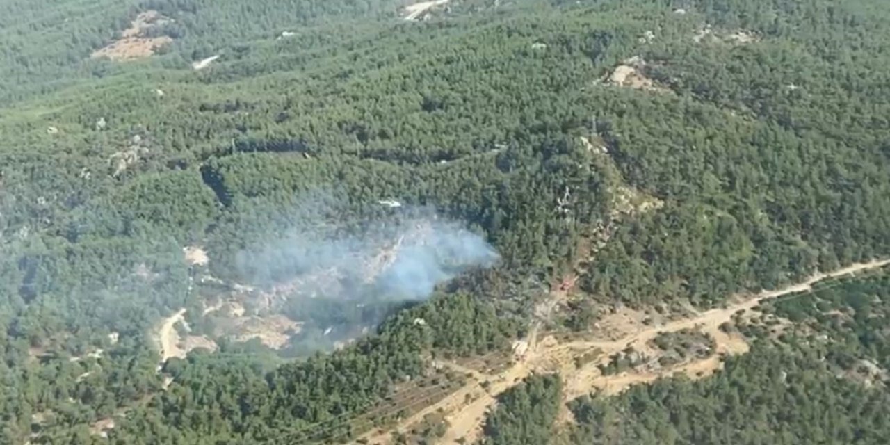 Muğla Milas’ta ormanlık alanda yangın