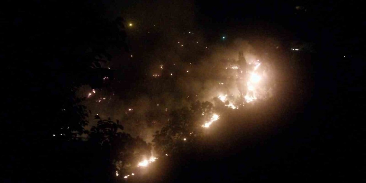 Köşk’te çıkan orman yangınına müdahaleler sürüyor