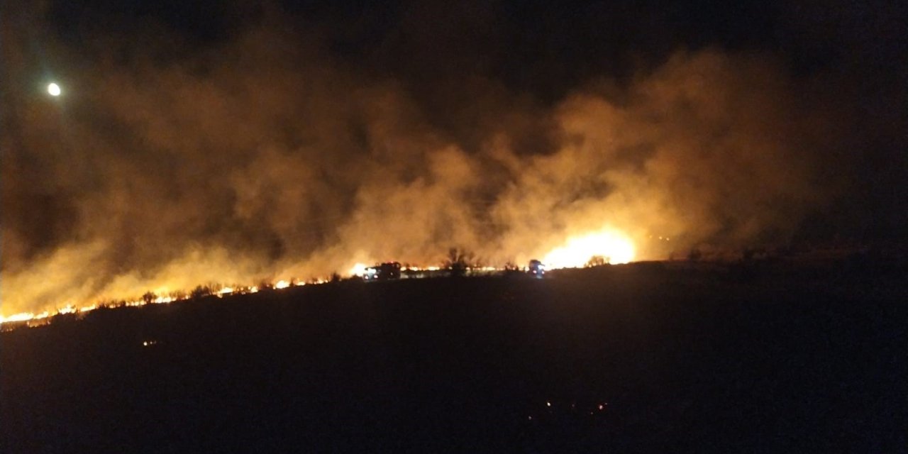 Aliağa’da otluk alanda çıkan yangın söndürüldü