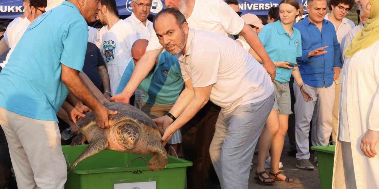 Tedavi edilen caretta carettaların mavi yolculuğu ilk kez yerli uydu ile izlenecek