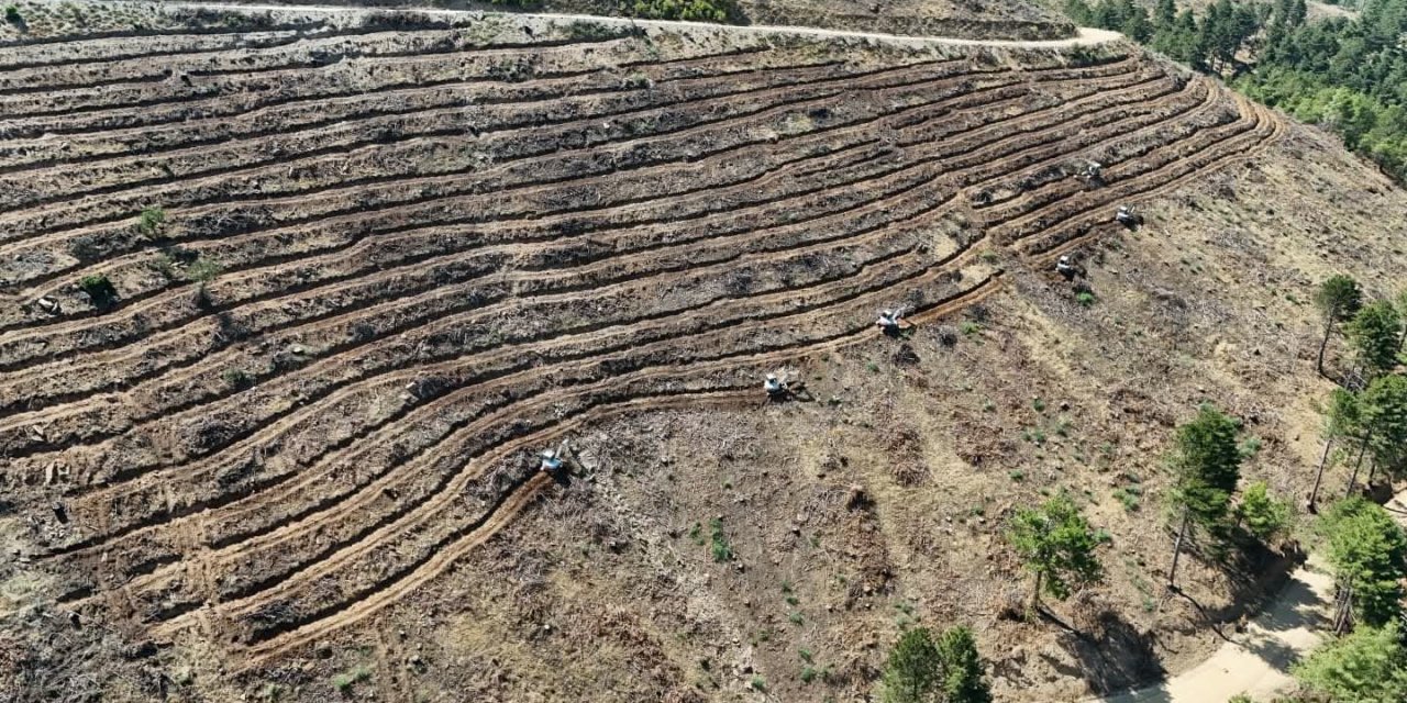Babadağ’da geçen yıl yanan bölgelere ağaçlandırma çalışmaları sürdürülüyor