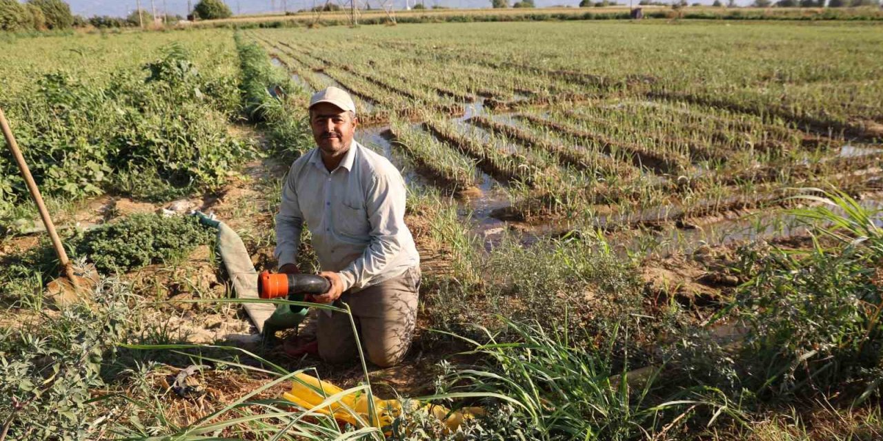 Aydın’da su kıtlığı çiftçilerin mesai saatlerini değiştirdi