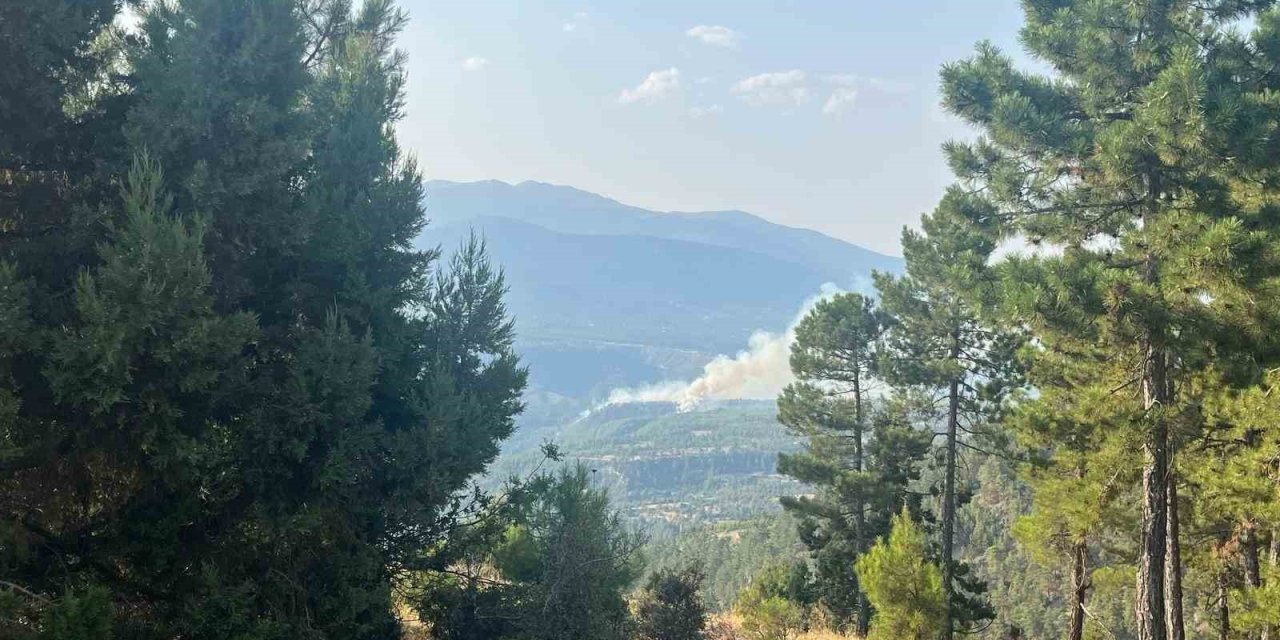 Denizli’de orman yangını