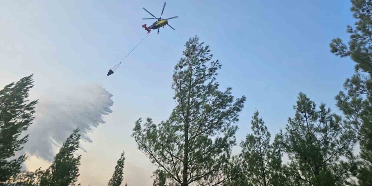 Denizli’de sarp bölgede çıkan orman yangını kontrol altına alındı