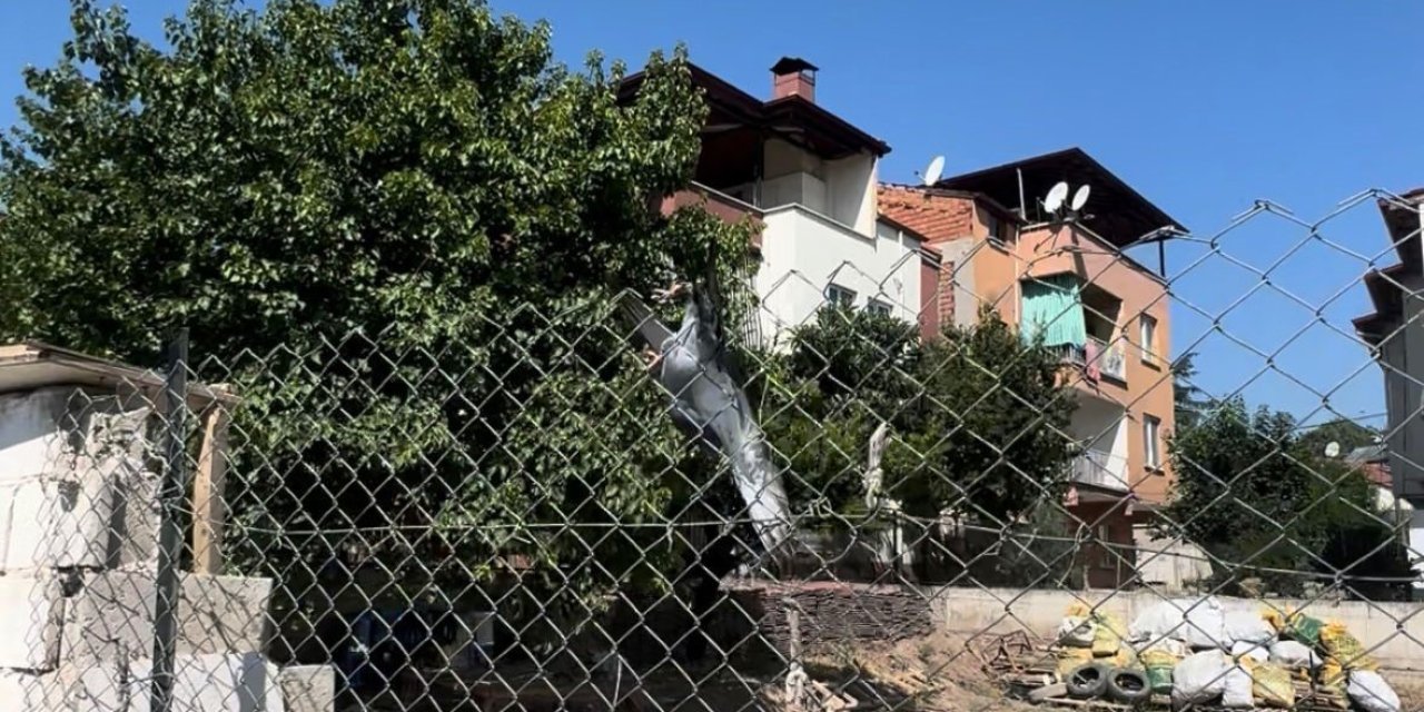 Tellere takılan güvercin imdadına muhtar yetişti