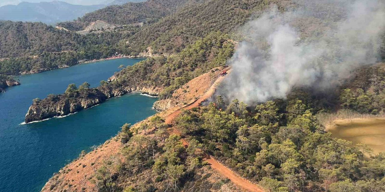 Fethiye’de orman yangını