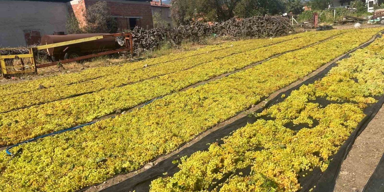 Üzümde fiyat belirsizliği hem üreticiyi hem de çalışanları tedirgin ediyor