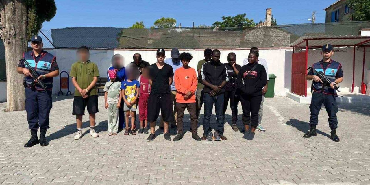 Zeytinlik alana saklanan 16 düzensiz göçmen yakalandı