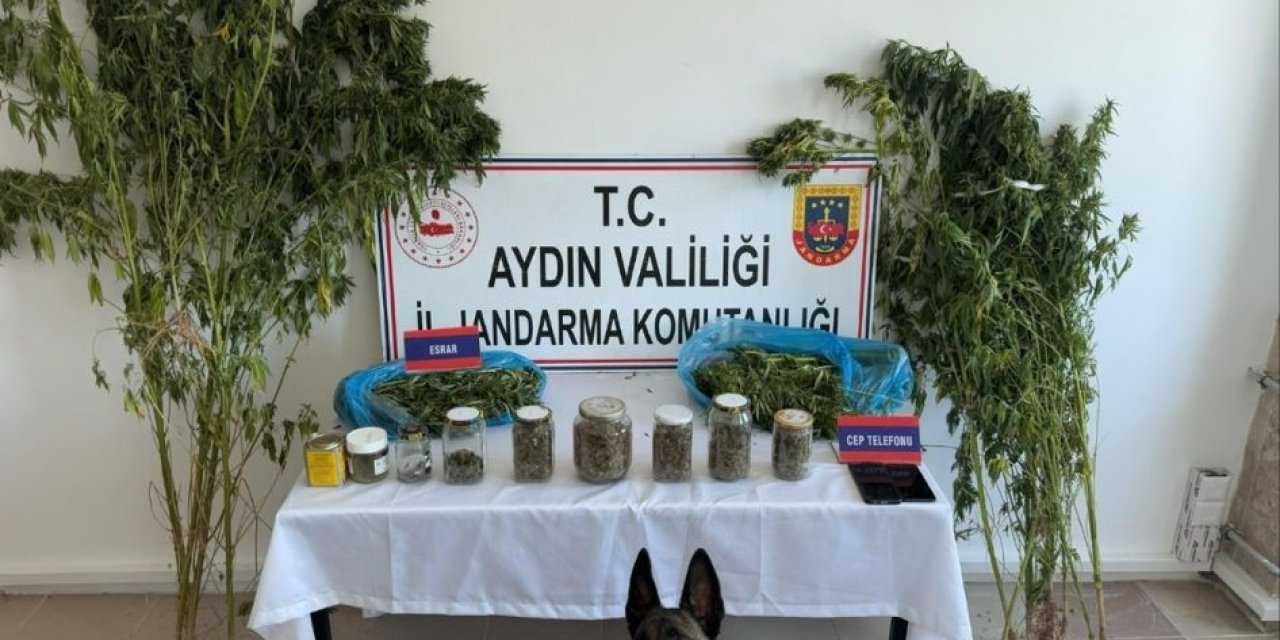 Aydın’da jandarmadan uyuşturucu operasyonu: 12 şüpheli yakalandı