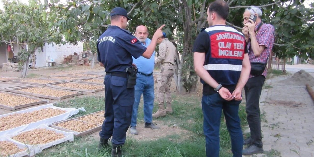 Germencik’te incir hırsızlığına karşı jandarmadan sıkı denetim