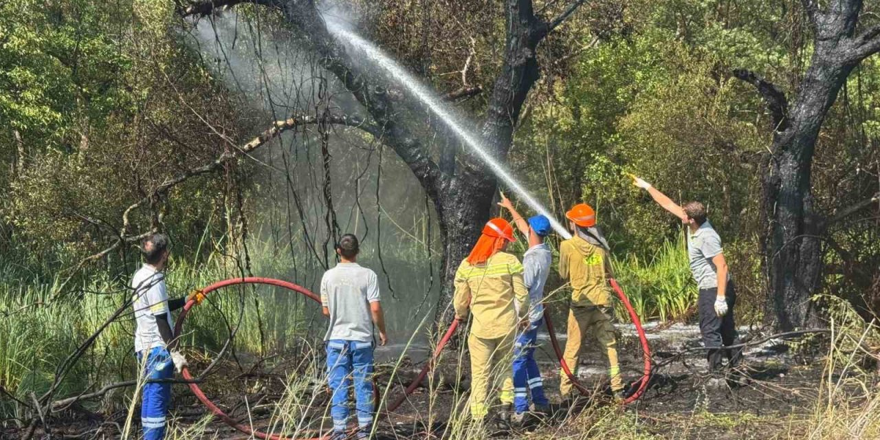Fethiye Akmaz Plajı’nda çıkan yangın kontrol altına alındı