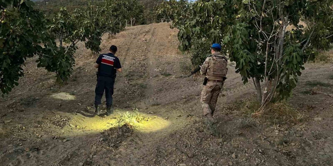 Jandarma incir hırsızlarına geçit vermiyor