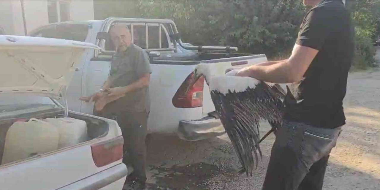 Balçığa saplanan leyleğin imdadına balıkçılar yetişti