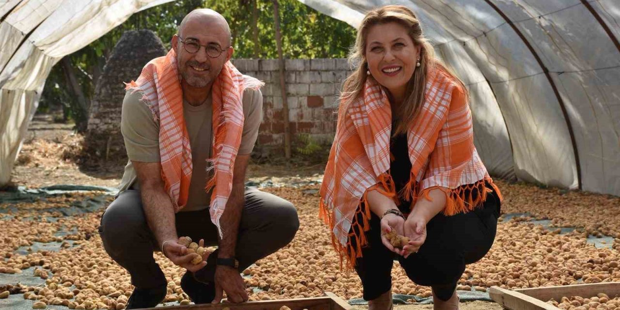 Germencik’te incir-fındık iş birliği mesajı