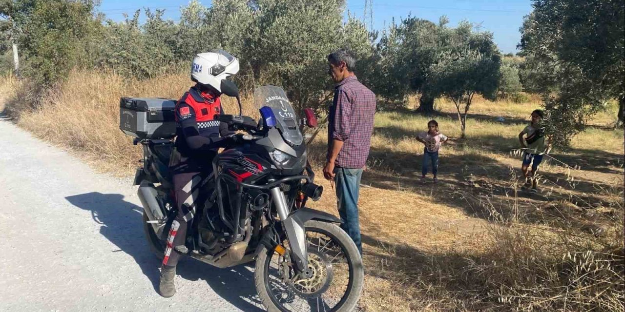 Jandarmadan ‘incir hırsızı’ devriyesi