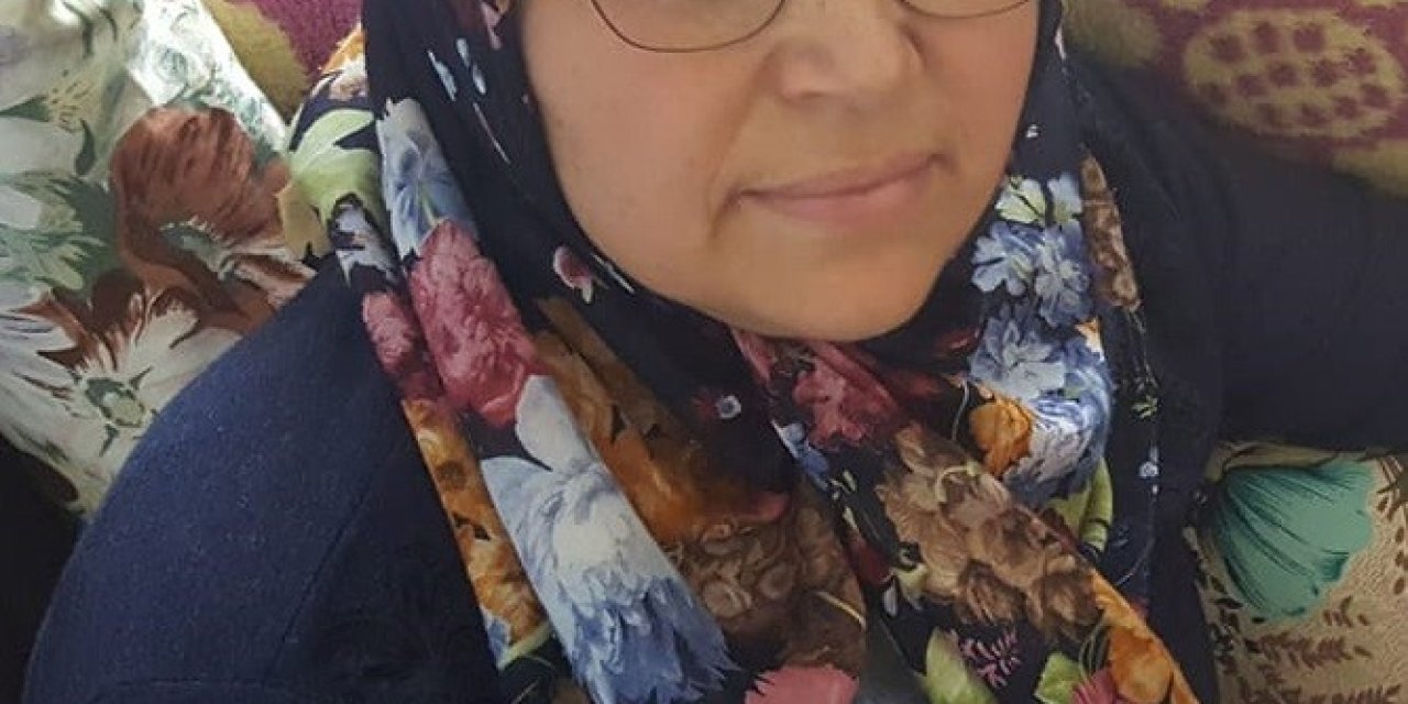 Sahipsiz köpeklerden kaçarken aracın altında kaldı