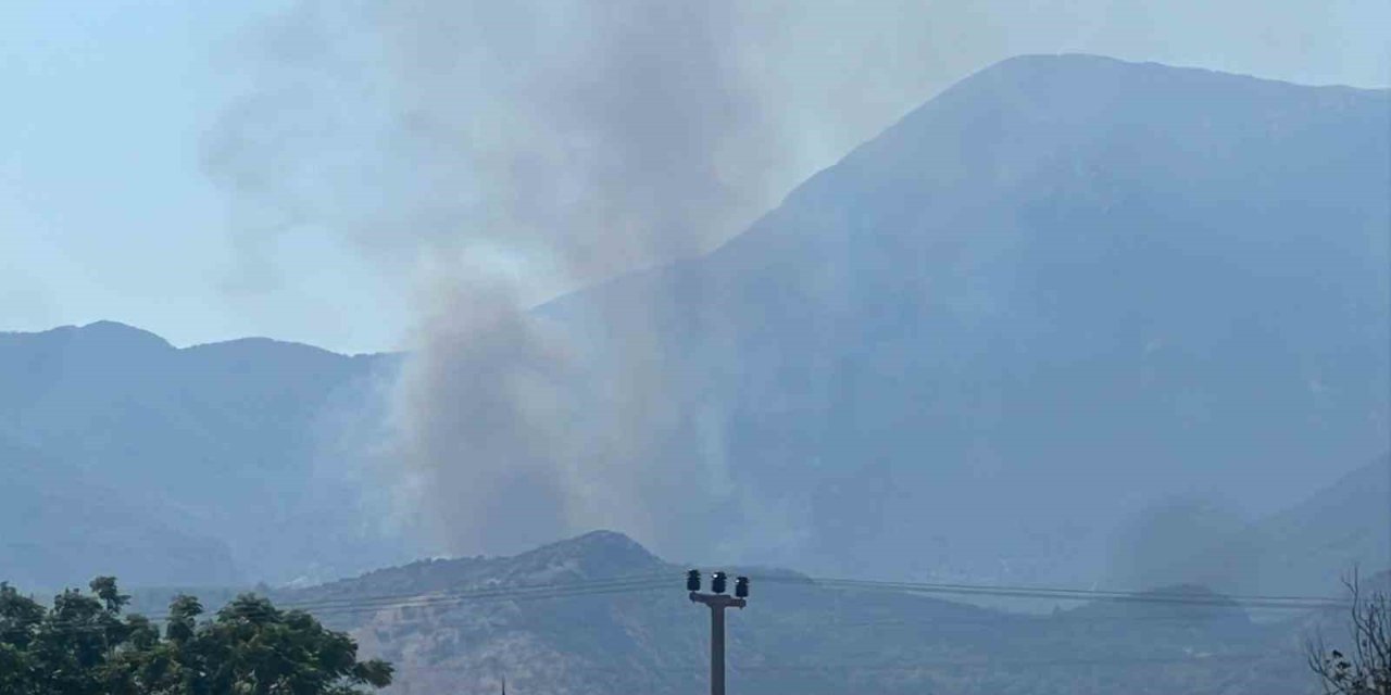 Muğla’daki yangını söndürme çalışmaları aralıksız sürüyor