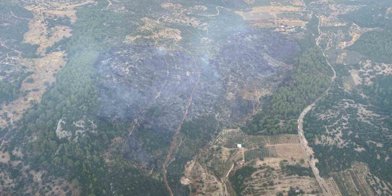 Muğla’daki orman yangını kontrol altına alındı