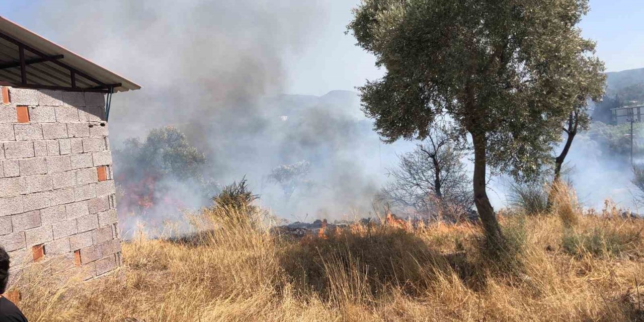 Bodrum’da otluk ve zeytinlik alanda yangın