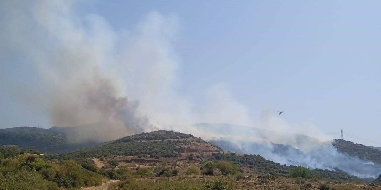 Aliağa’da makilik alanda yangın