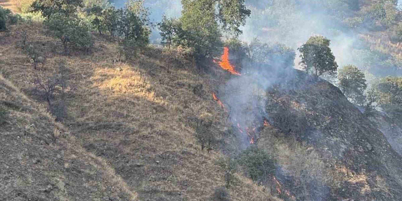 Buharkent’te orman yangını
