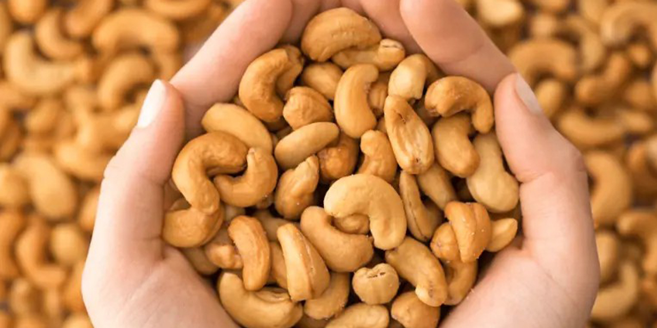 Kaju Hakkında Bilgilendirici Rehber ve Paşa Kuruyemiş