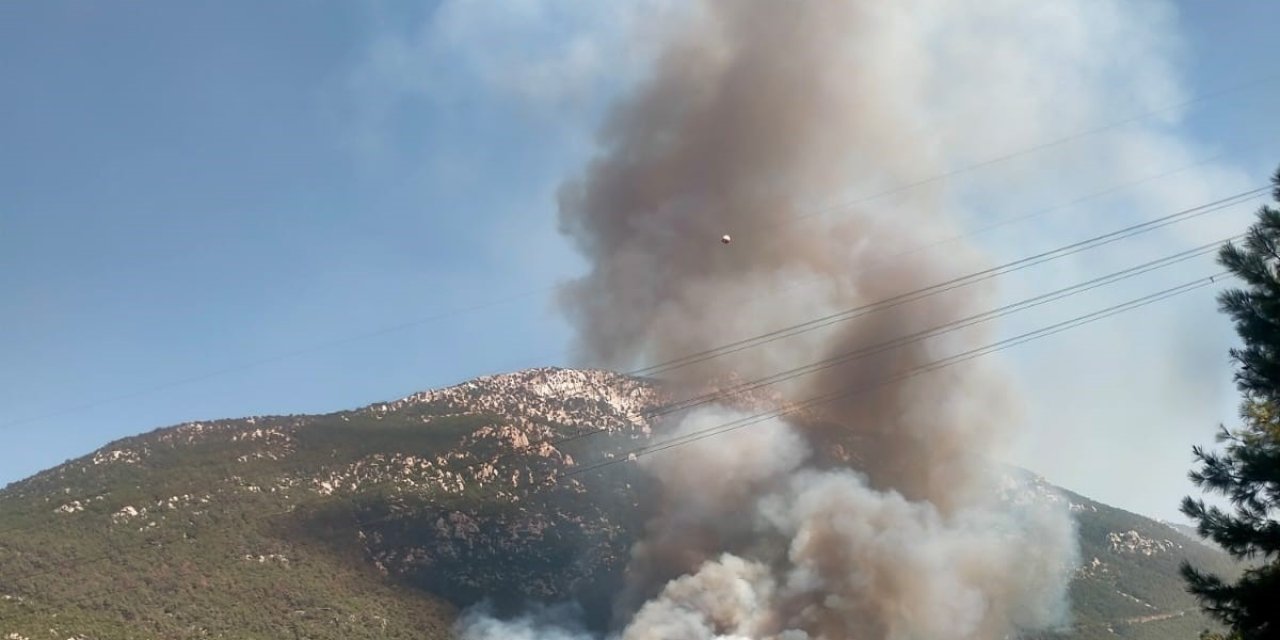 Denizli’de orman yangını