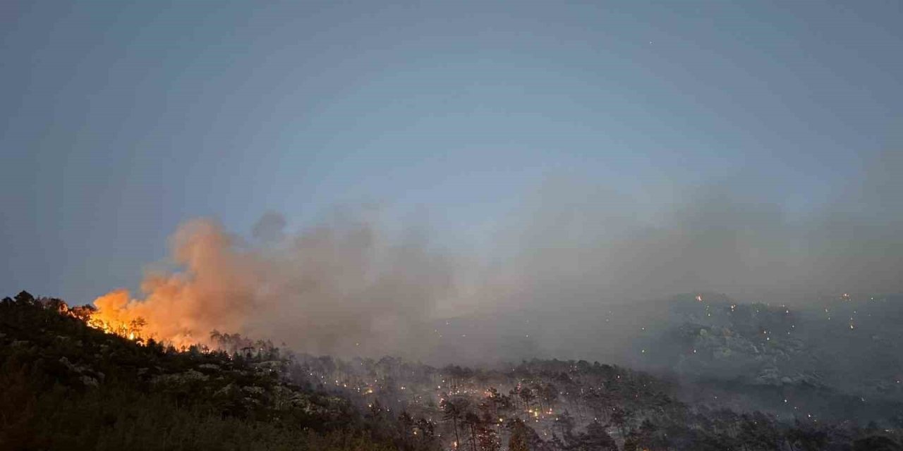 Denizli’deki orman yangını kontrol altına alındı