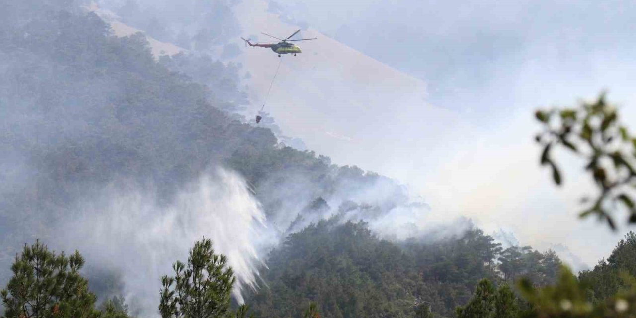 Denizli’deki orman yangınında soğutma çalışmaları devam ediyor