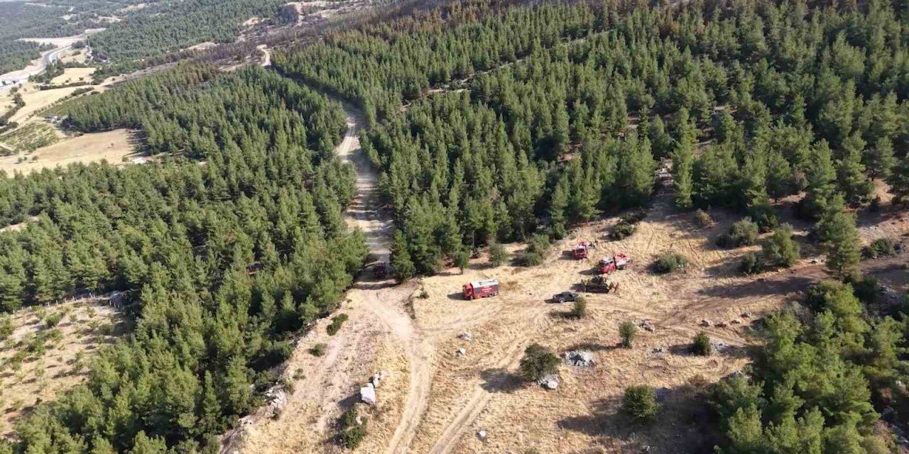 Denizli’de yanan orman sahası havadan görüntülendi
