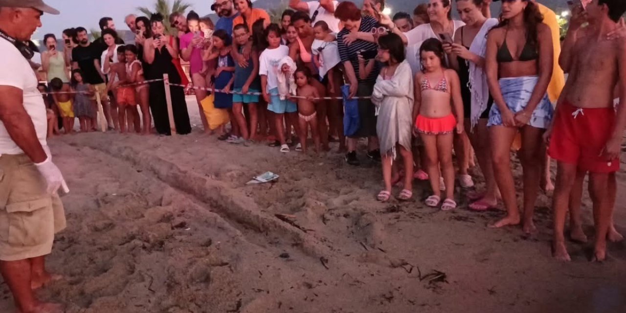 Kuşadası’nda koruma altındaki yuvadan ilk yavrular denize ulaştı
