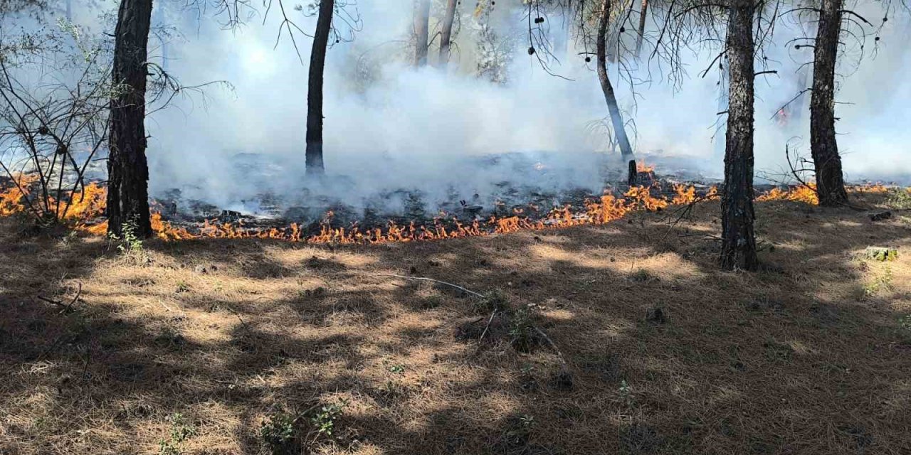 Buldan’da çıkan orman yangını kısa sürede kontrol altına alındı