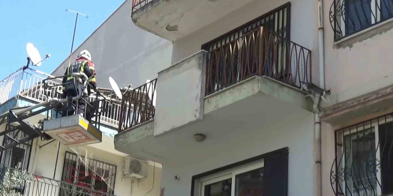 Sevimli kediyi kurtarmak için tüm ekipler seferber oldu, o kurtarılacağı anda atlayıp gitti