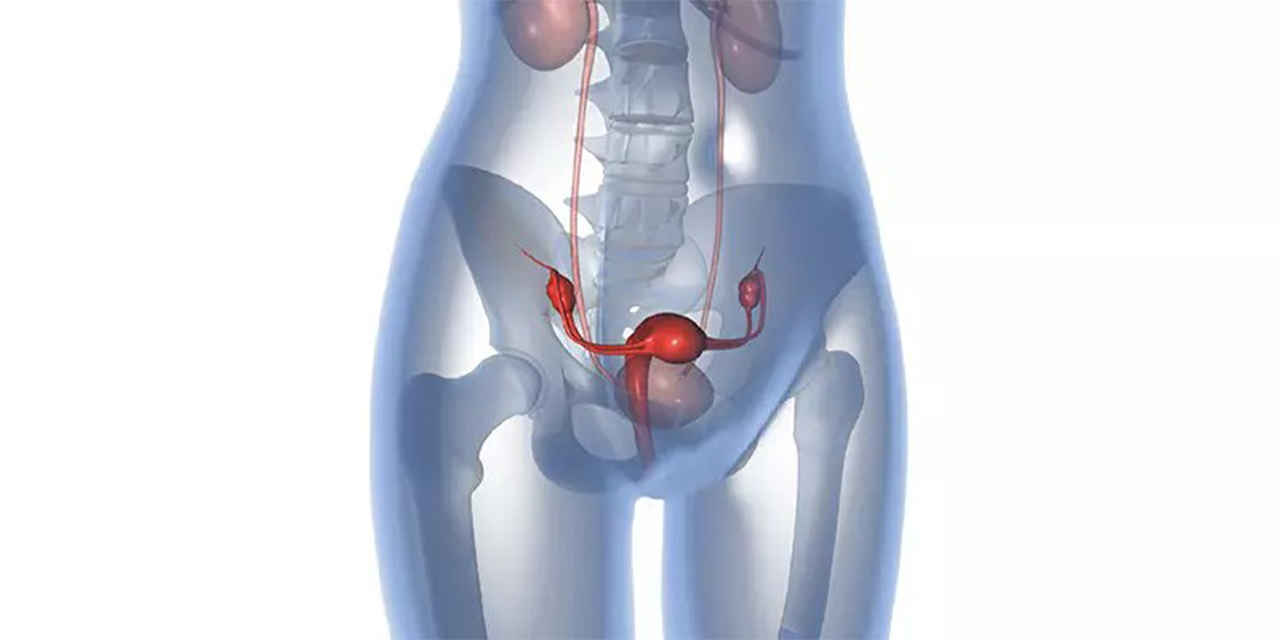 HSG filmi tüplerin açıklığını gerçekten tek seferde gösterebilir mi?