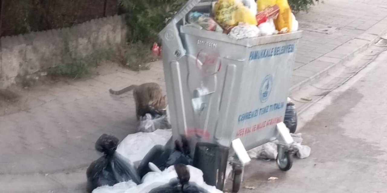 Pamukkale’de çöp dağları