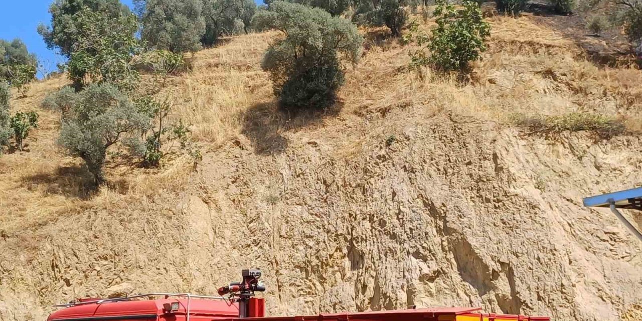 Köşk’teki zirai alan yangını kontrol altına alındı