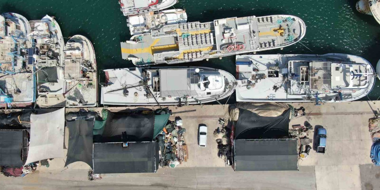 İzmir’de deniz kirliliği balığı vurdu: Sardalyasız sezon kapıda