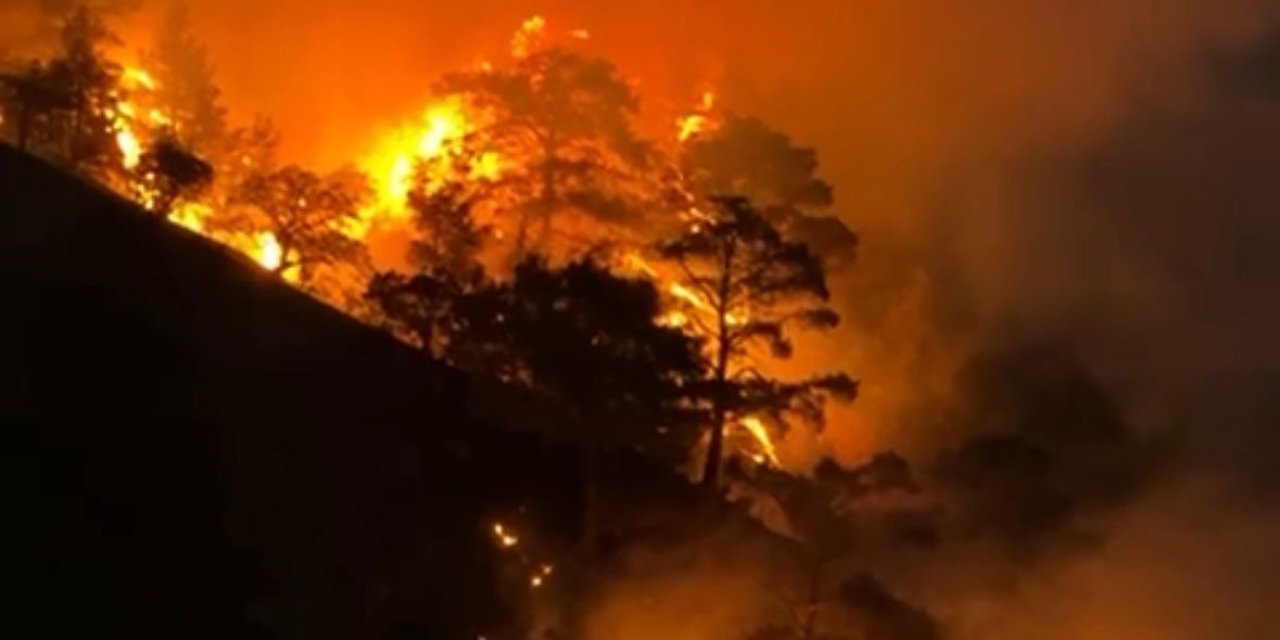 Buldan’da sarp arazide orman yangını çıktı