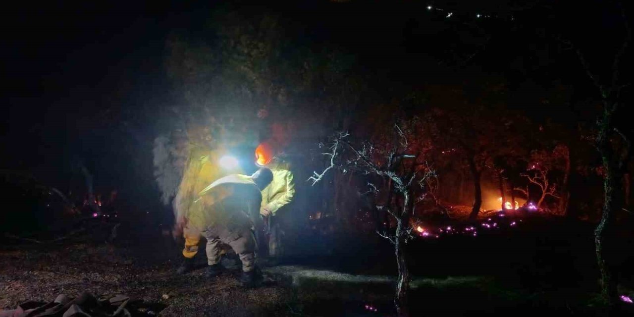 Aydın - Denizli sınırında çıkan orman yangını kontrol altına alındı