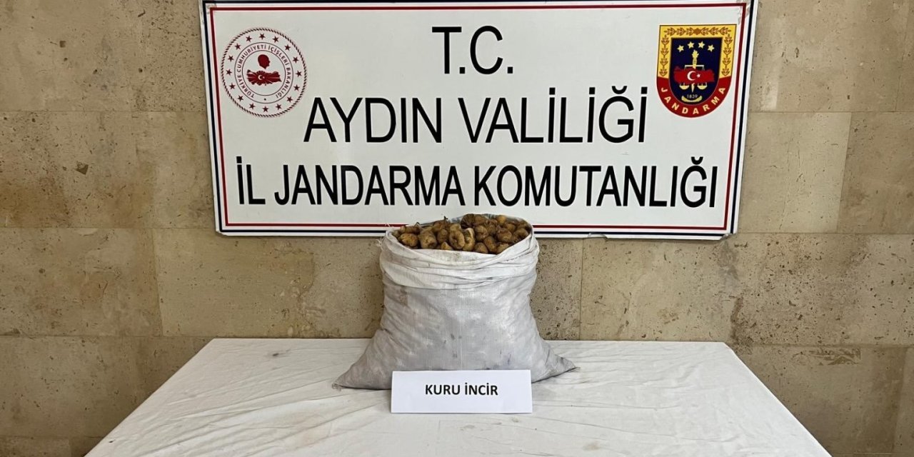Motosikletli incir hırsızı jandarmadan kaçamadı