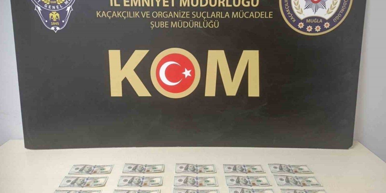 Muğla’da sahte dolar operasyonu