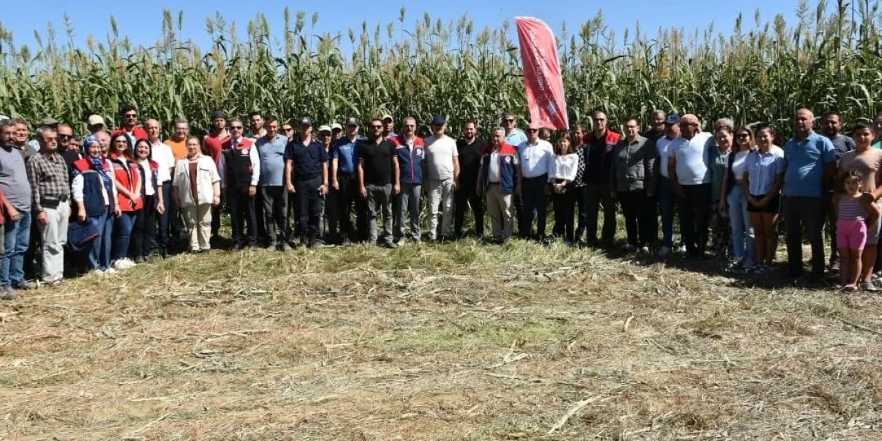 Aydın’da kaba yem açığını kapatacak proje meyvelerini veriyor