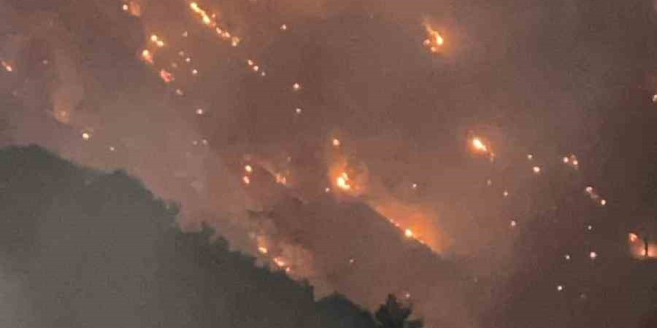 Buldan’da başlayan yangın Aydın’ın bazı mahallerine ulaştı