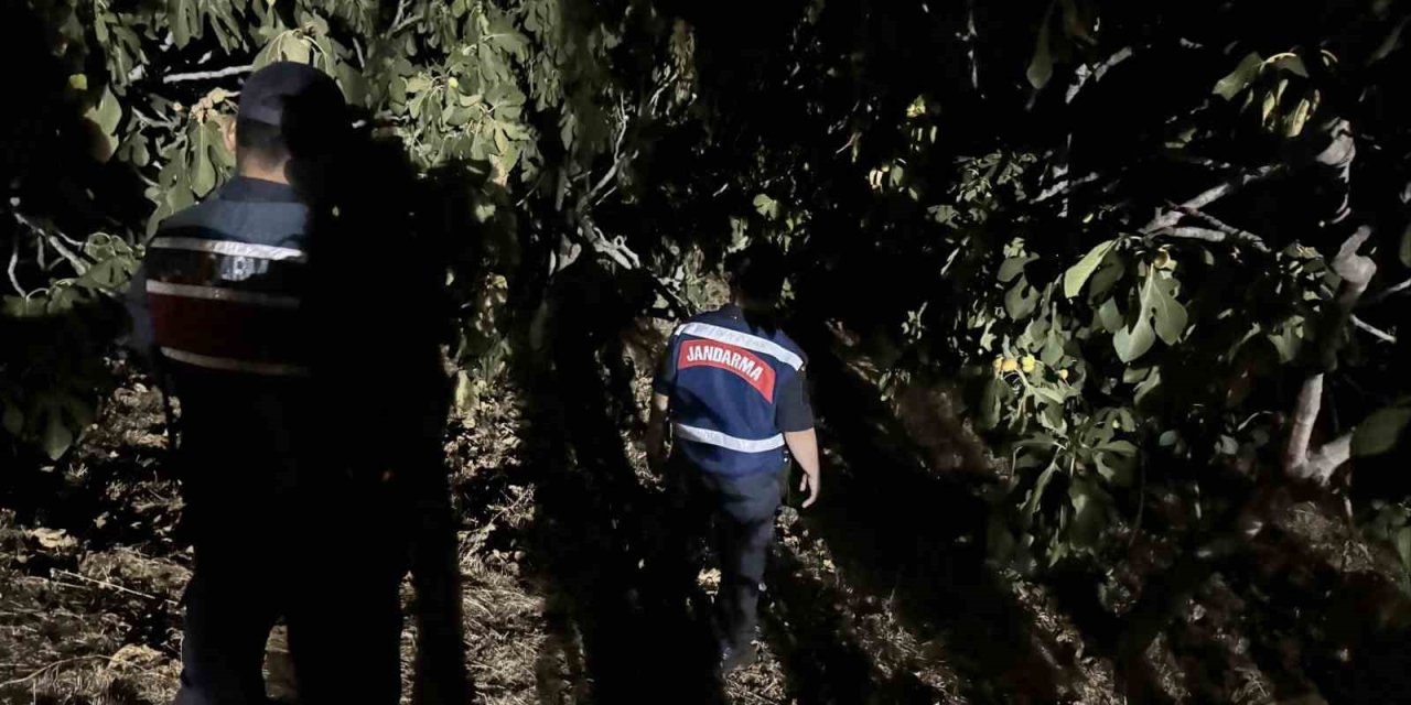 Jandarma, incir hırsızlarına geçit vermiyor