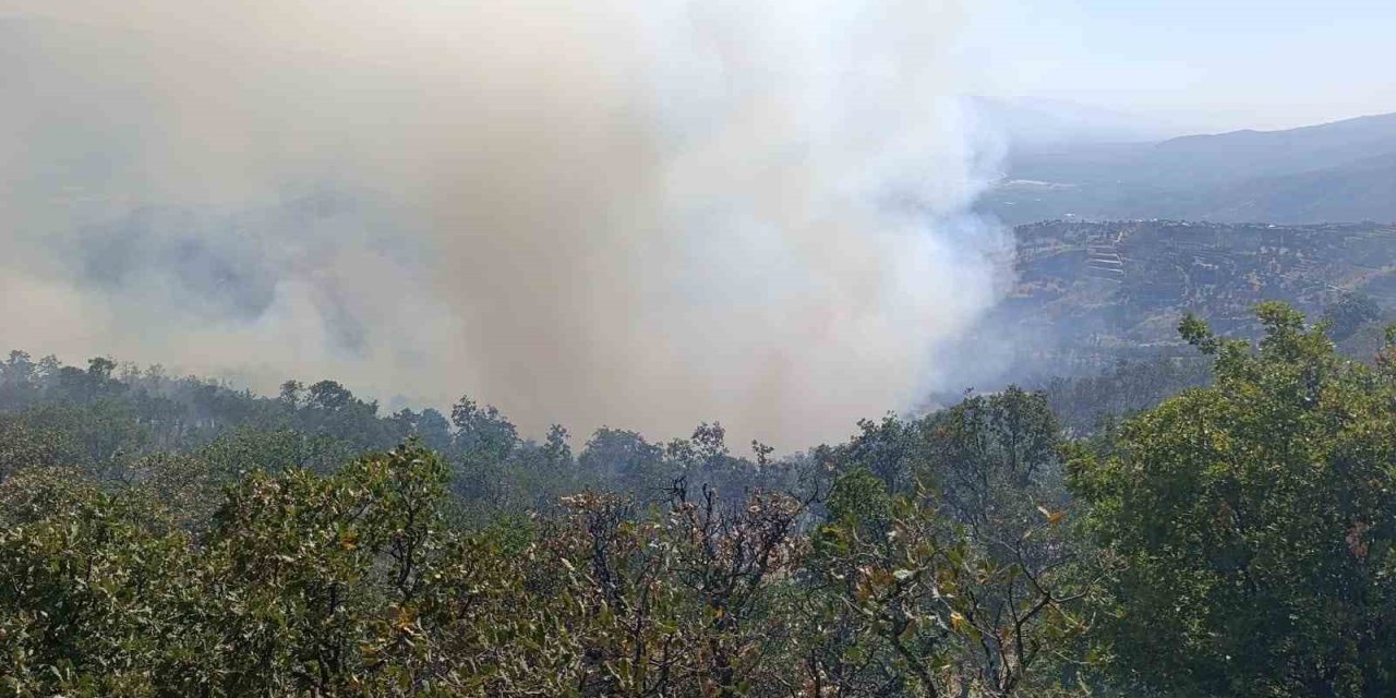 Buldan yangın göletlerinde su azaldı